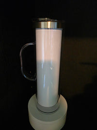 20 oz Snow Globe (stainless inside)