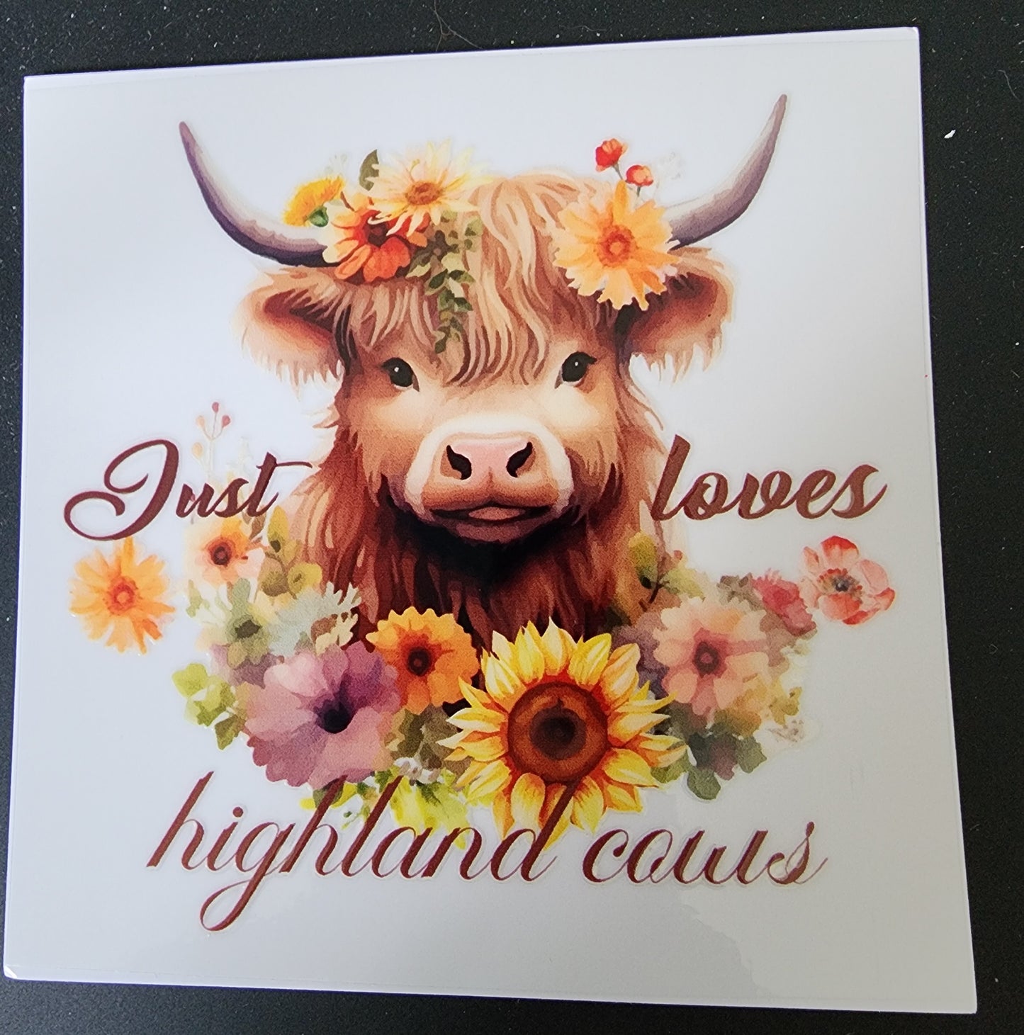 Love Highland Cows